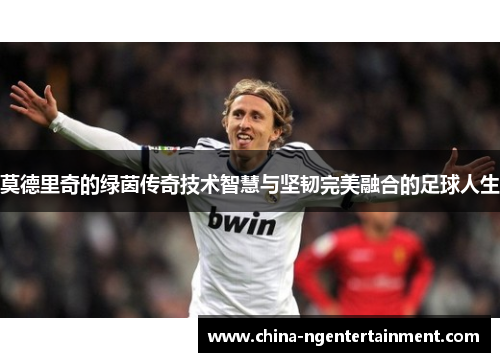 莫德里奇的绿茵传奇技术智慧与坚韧完美融合的足球人生