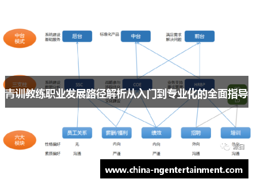 青训教练职业发展路径解析从入门到专业化的全面指导